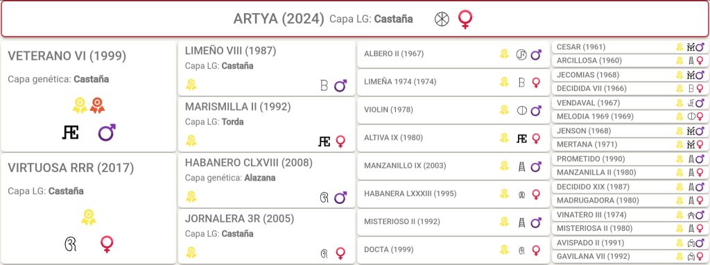 Artya papers