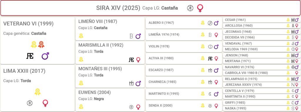Sira papeles